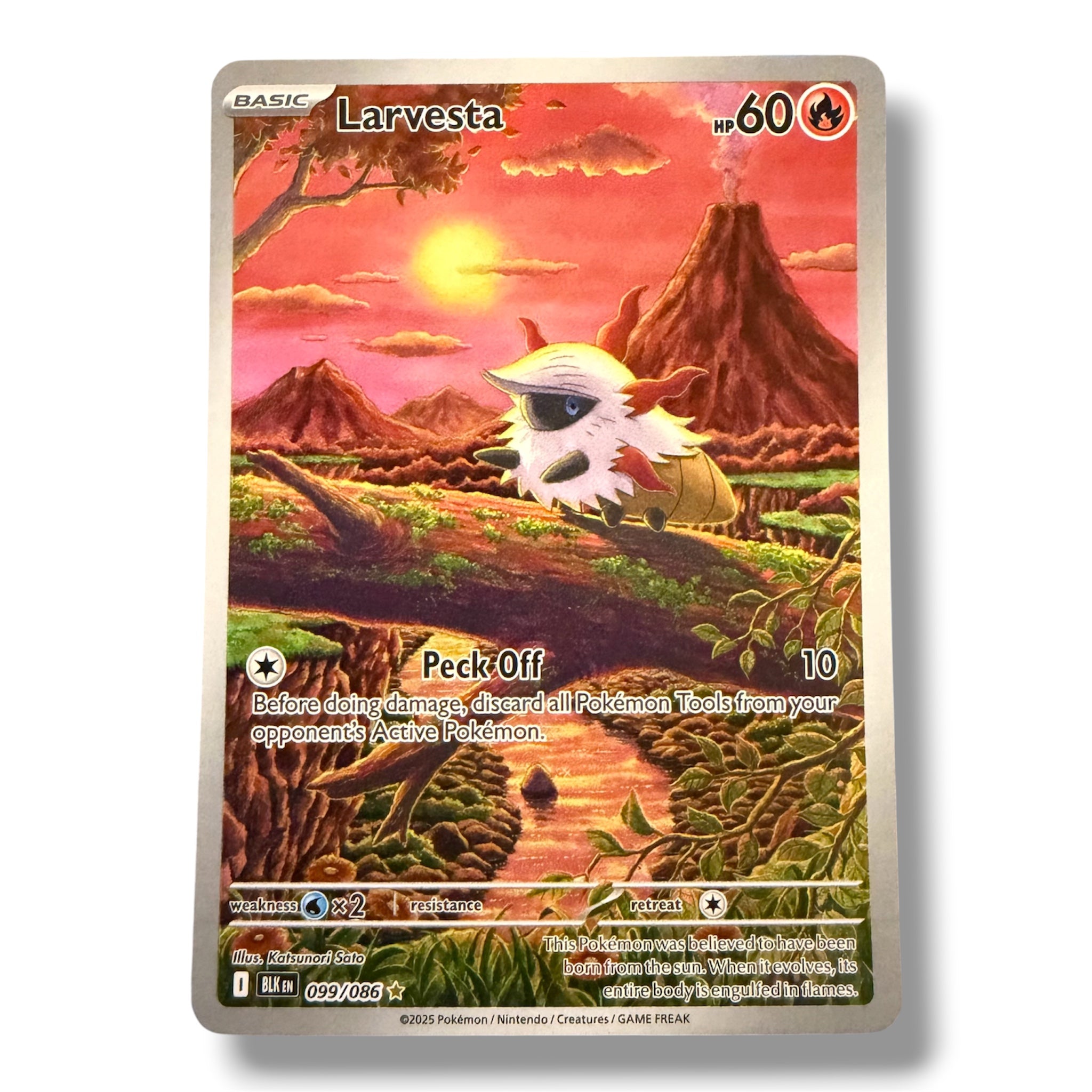 Larvesta - 99/86 - Illustration Rare