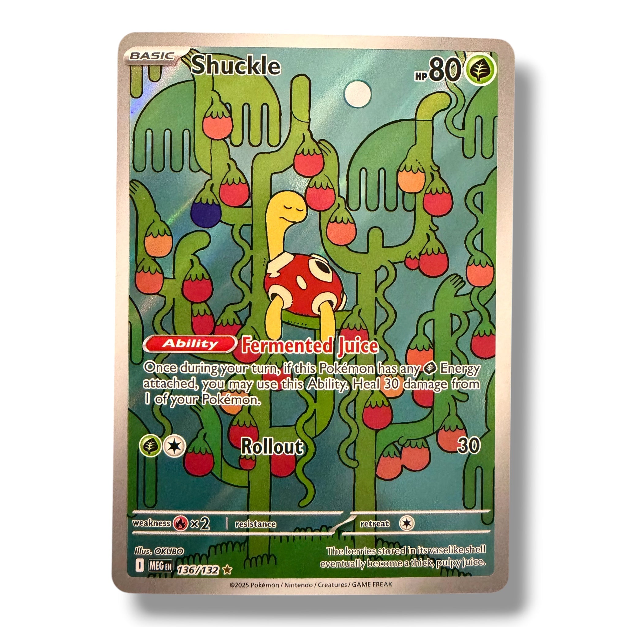 Shuckle - 136/132 - Illustration Rare