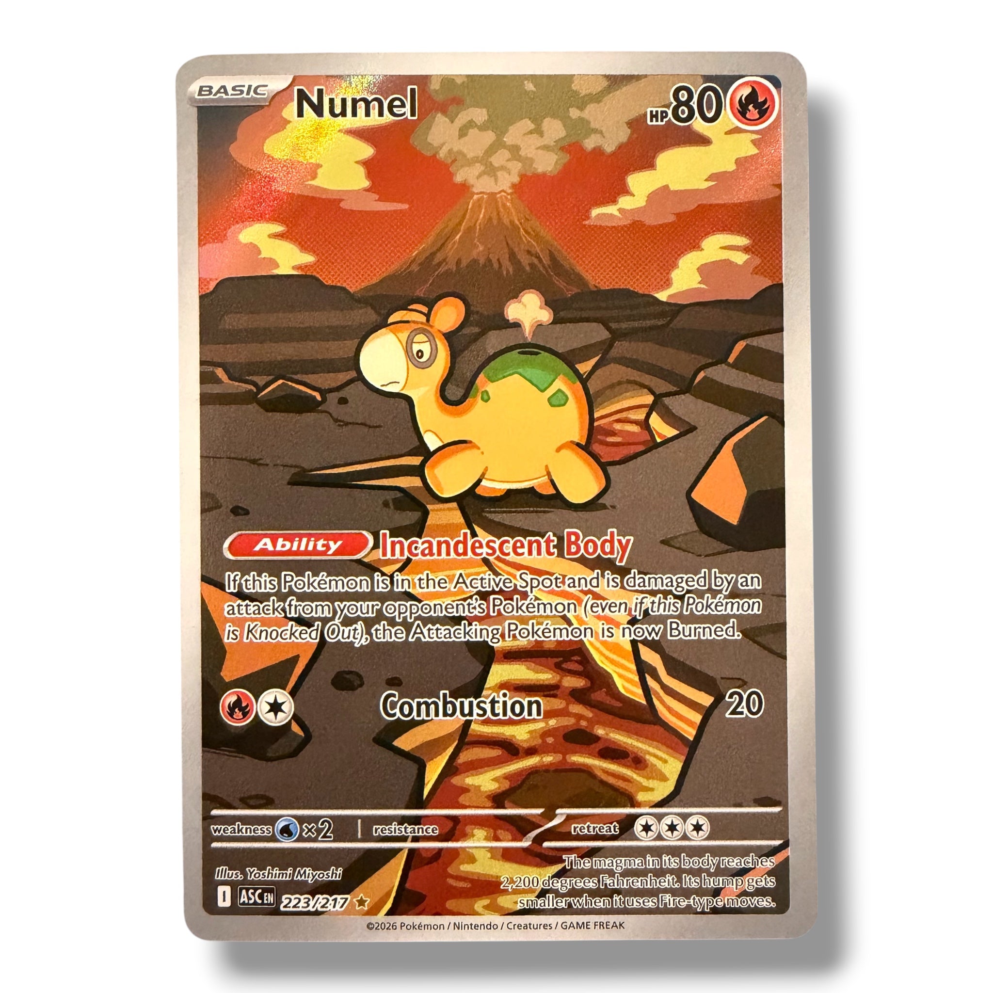 Numel - 223/217 - Illustration Rare